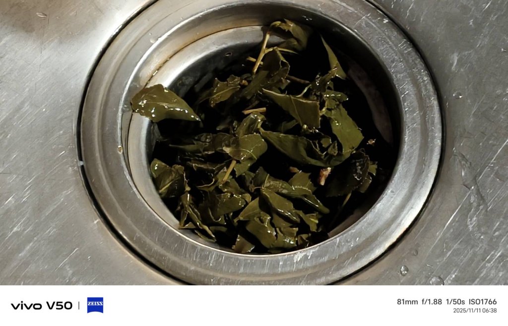 垃圾減量 餘廚入土