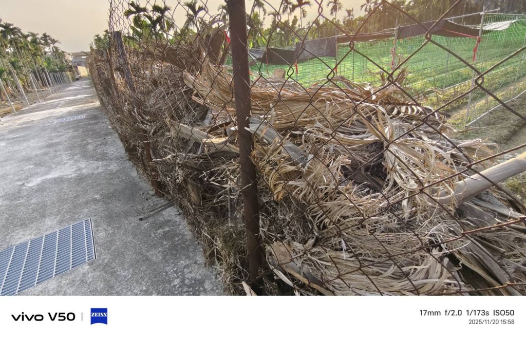 屏東縣農村落葉枯枝  掩埋或是堆積讓它自然腐化