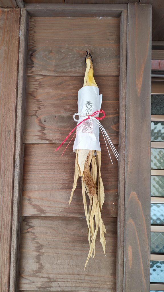 不是裝飾是護符！金澤東茶屋街驚見乾燥玉蜀黍「門守結界」