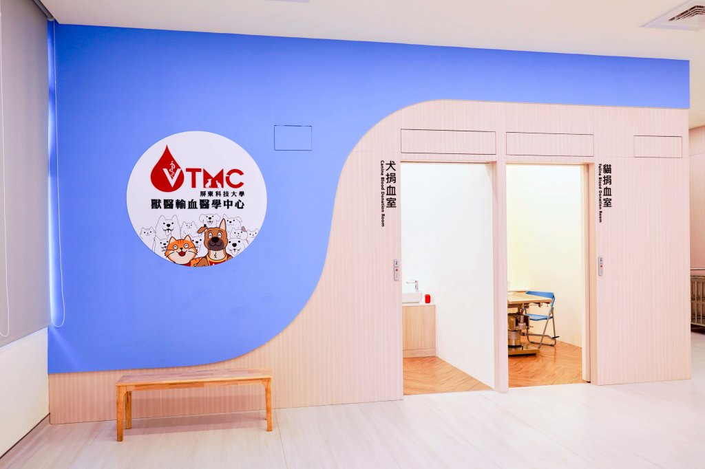 動物診療  血本投入  不怕沒有人帶寵物光顧