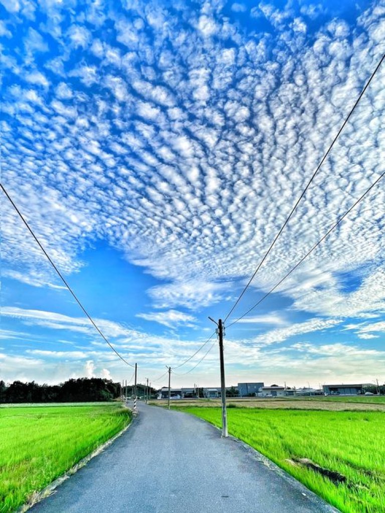 〈我也曾想一了百了〉Depressive Disorder