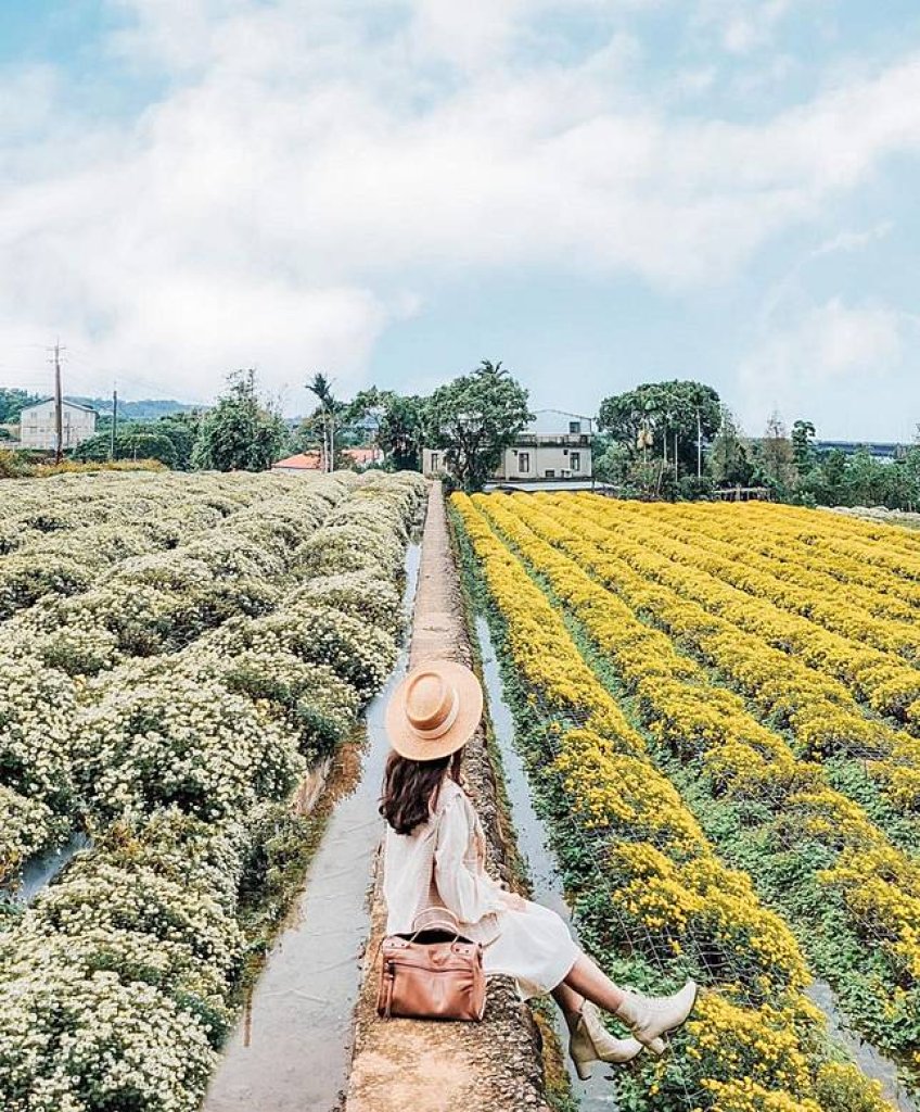 【幸福講堂】 別來無恙 (Little Secret)