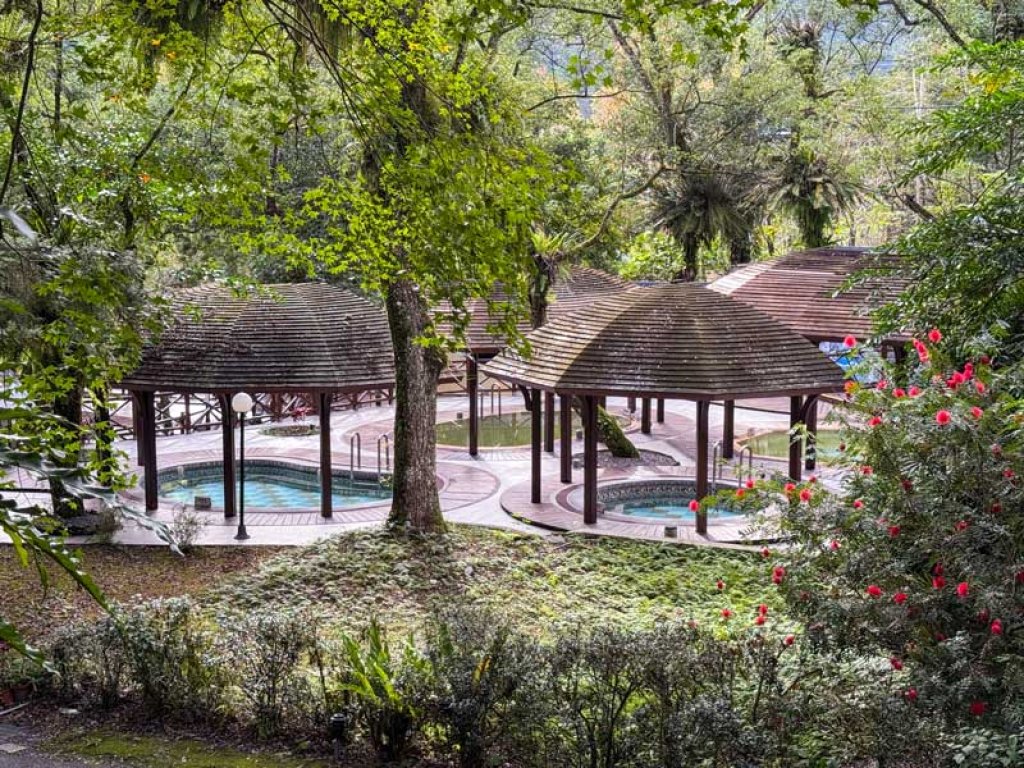 森林與泉脈的守護者啟程 天成逸旅重塑蝴蝶谷溫泉傳奇