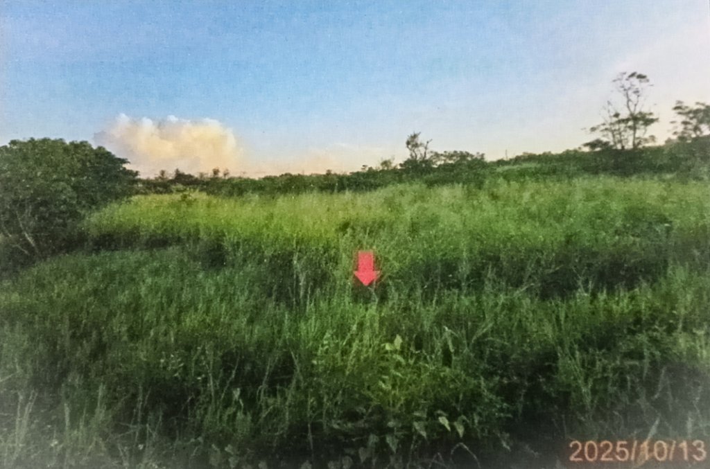 屏東分署115新年度123聯合拍賣會 拍賣佳冬鄉菜市場二、三樓建物及恆春鎮完整農地