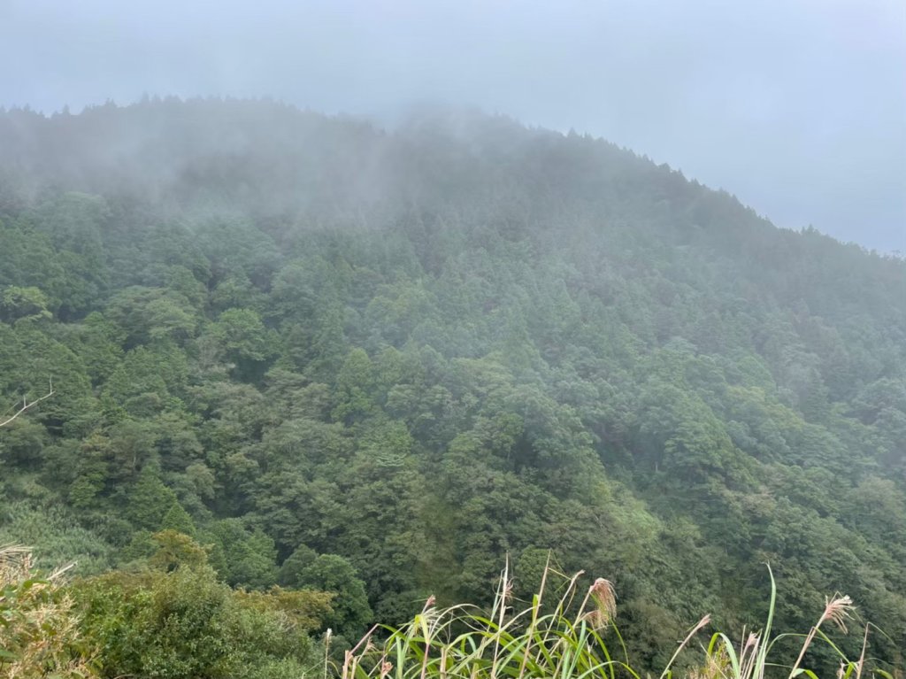 山野悲歌再起：屏東山域的無聲低溫警報