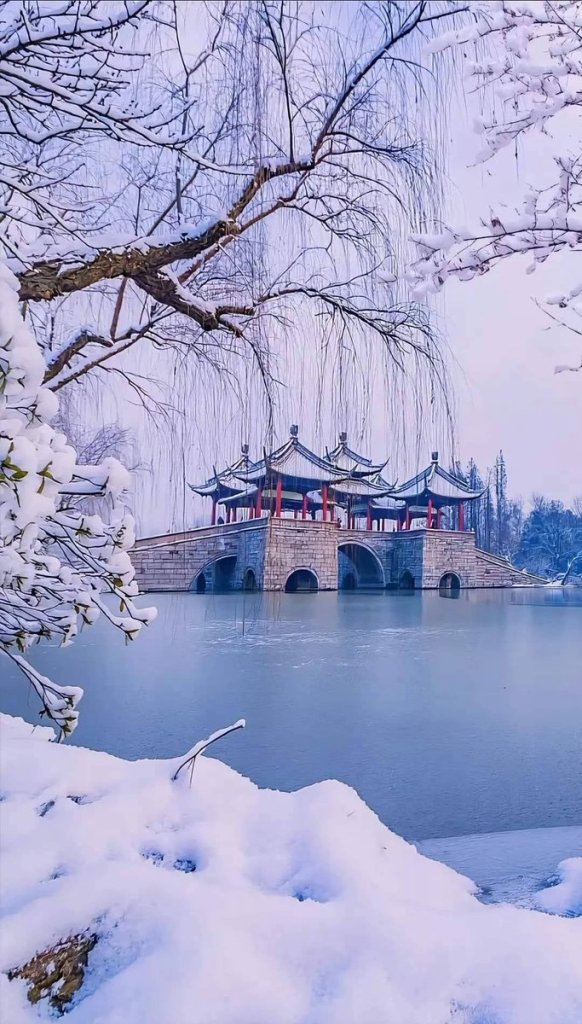 【幸福講堂】當駐足成為習慣：掙脫布里丹的驢     布里丹效應（Buridan's effect）