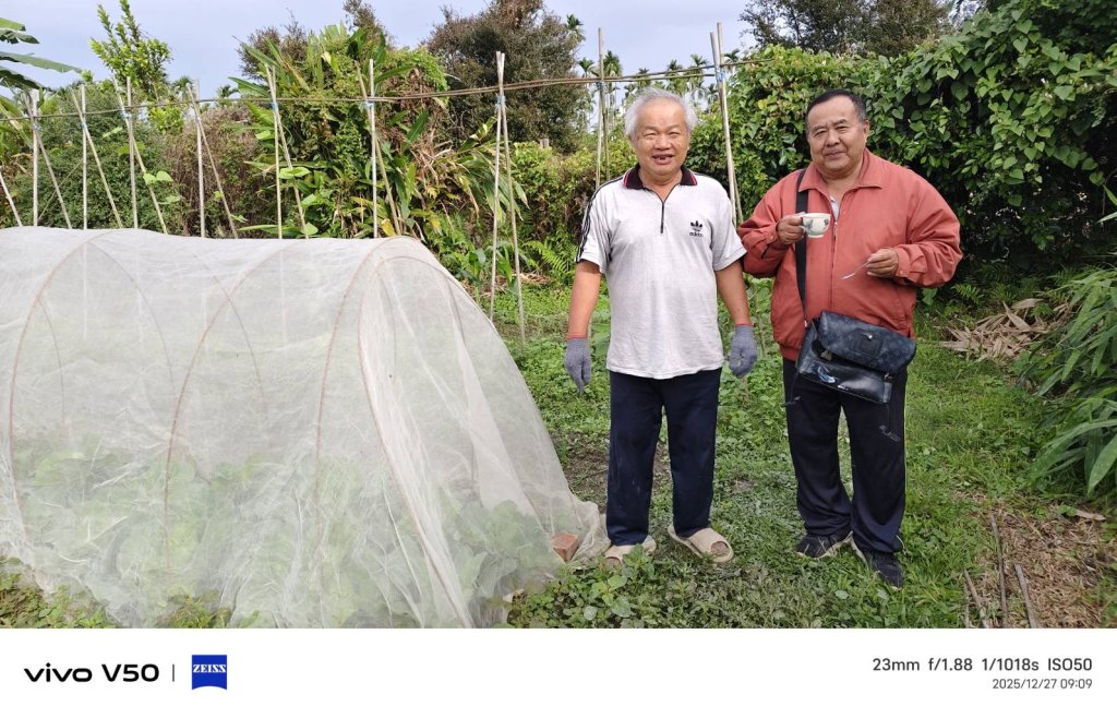 竹田楊老師  有機耕作自己食用