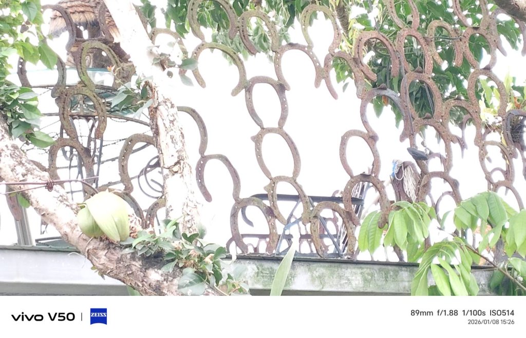 馬場屬於農牧業  蹄鐵圍籬屬於手工「鋼鐵業」