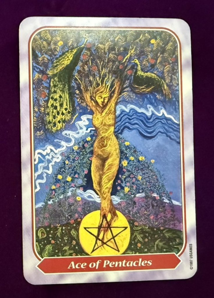 想換工作又怕現實打臉？〈金幣一〉給他的不是夢，而是路