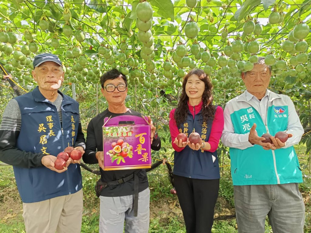 從衛國戎裝到有機農田：邱善章與「火燒庄」的紫色奇蹟