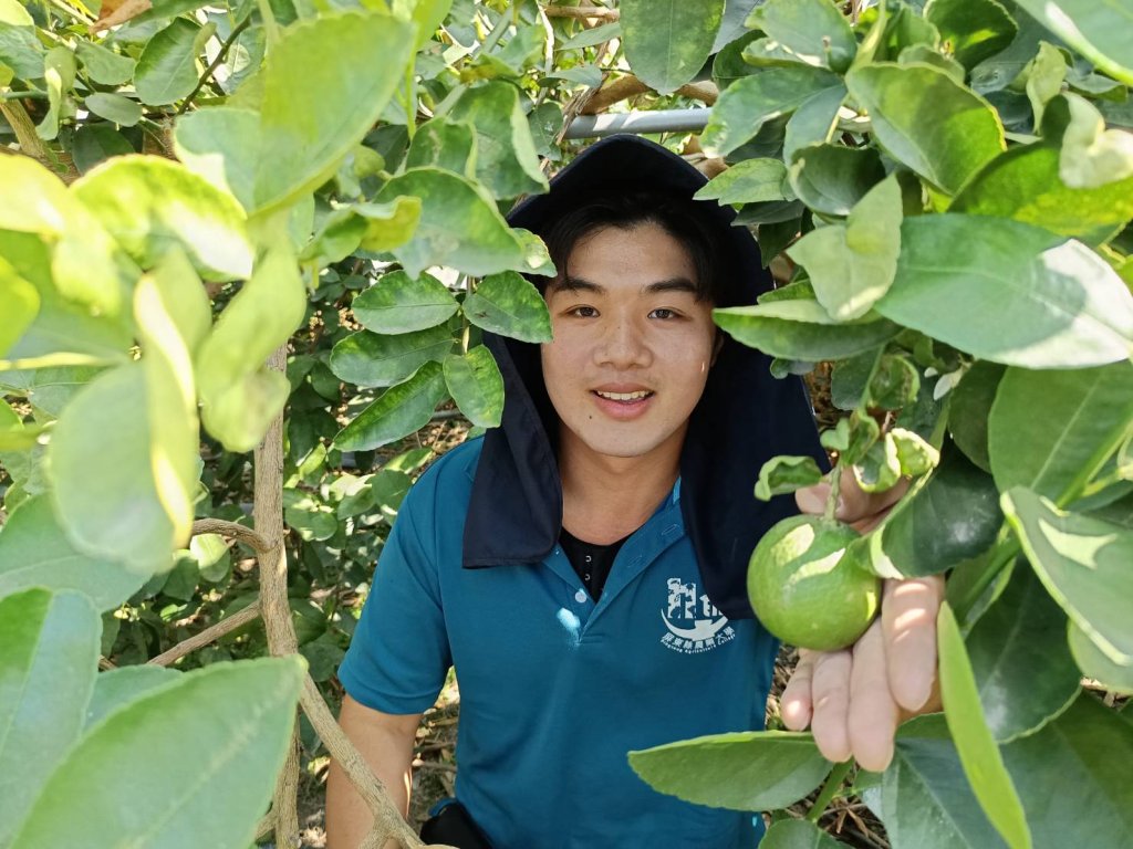 從晶圓到果園：高科技青農陳威志返鄉深耕「無子檸檬」 攜手父輩寫下農業傳承新篇章