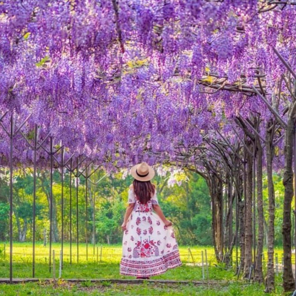 【幸福講堂】〈撕下第一張便利貼〉 「登門檻效應（Foot-in-the-Door Effect）的反向應用」