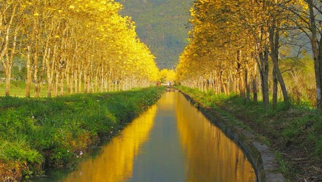 【幸福講堂】〈小山之間的呼吸〉自我分化（Self-Differentiation）