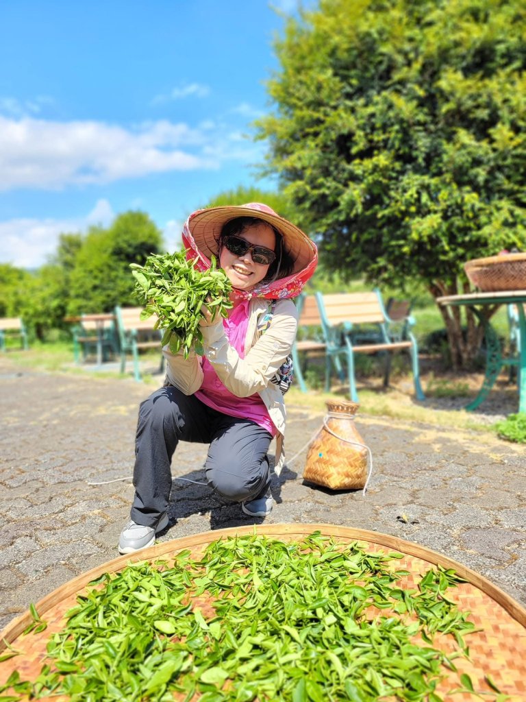 陽光不是萬能！身處亞熱帶卻缺D？三大補充迷思讓你越補越糟