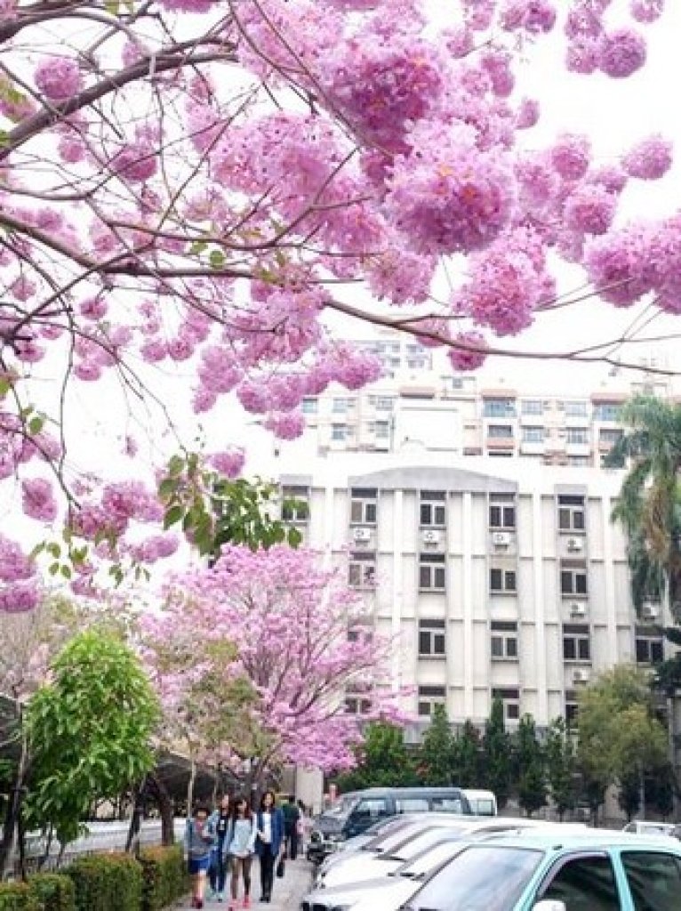 【幸福講堂】報恩，不必賠上自己——恐懼、義務與罪惡感（FOG效應）