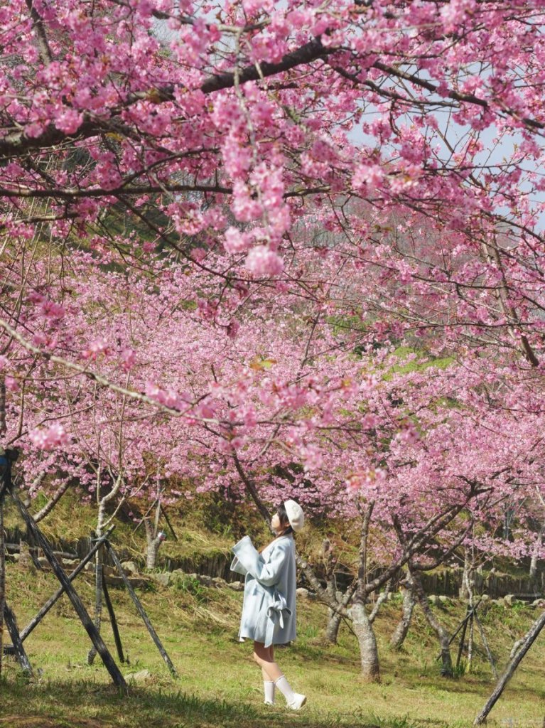 【幸福講堂】玉梅的寂靜求救——破窗效應（Broken Windows Theory）