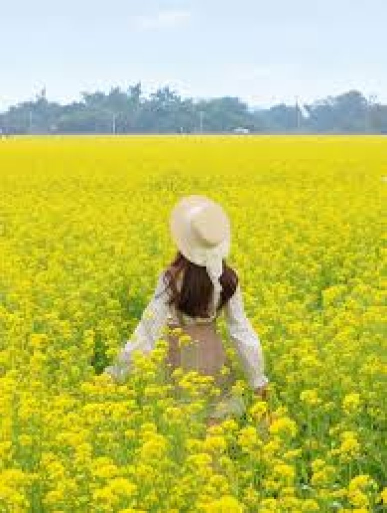 【幸福講堂】網戀的盡處沉     沒成本謬誤（Sunk Cost Fallacy）