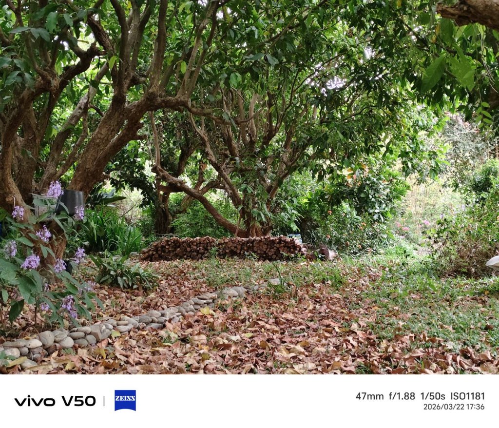 萬丹森林公園  二手物利用  小家電修理