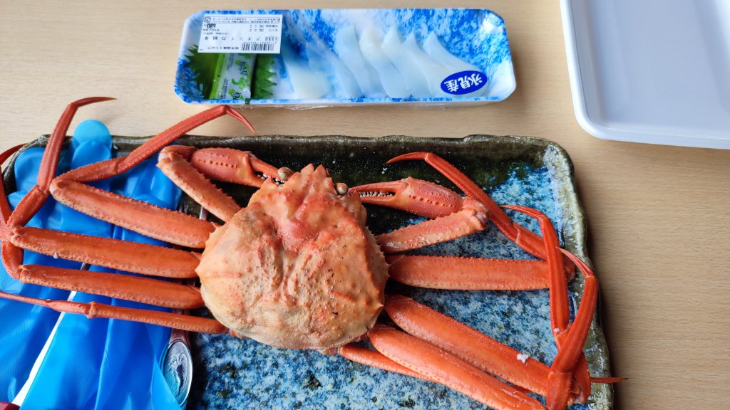 漁船到餐桌只要幾分鐘　冰見岸壁食堂鮮度破表