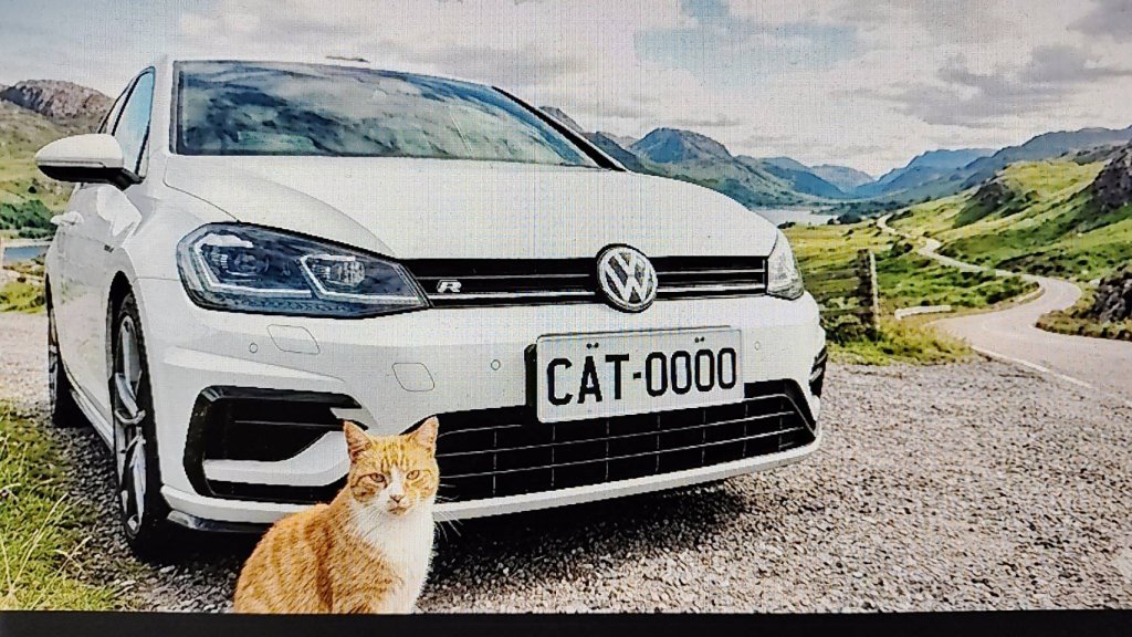 車牌象徵  代表的意義？