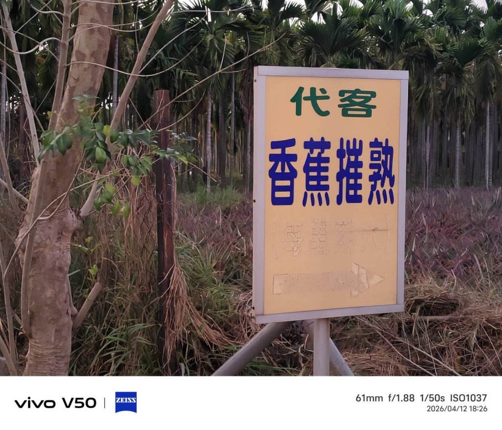 從屏科大出來   科大路這個看板讓果農揪心