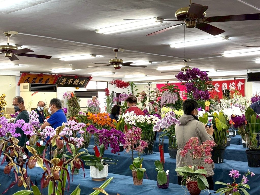 蘭花與地籍共展  農會和地政齊心