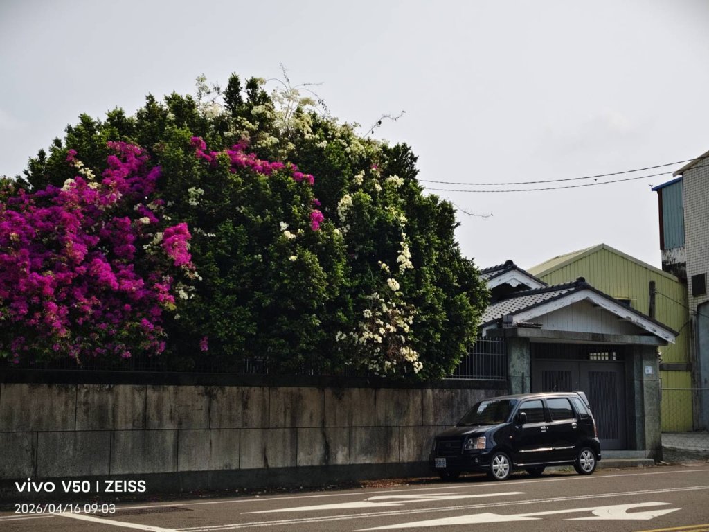 唐榮國小  唐榮故宅  好多故事值得細述