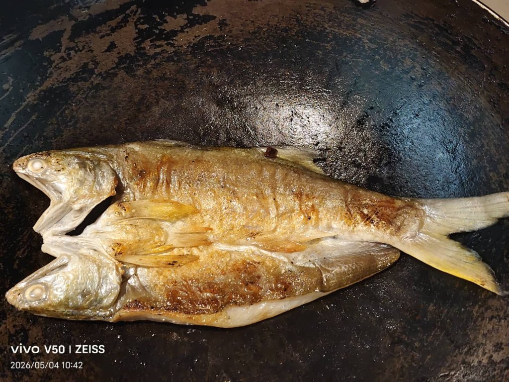 居酒屋  不再用鯖魚  改一夜干  午仔魚紅了