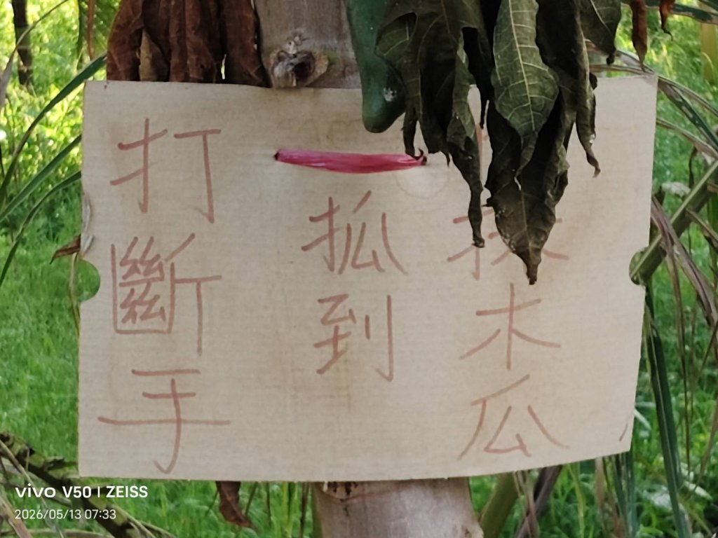 爪  瓜  農夫是種瓜得瓜，種豆得豆，只認識瓜。