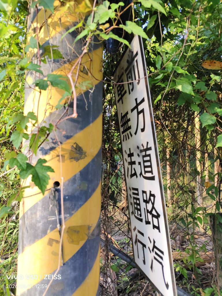 交通標誌  不會故意躲在電線桿後面的！