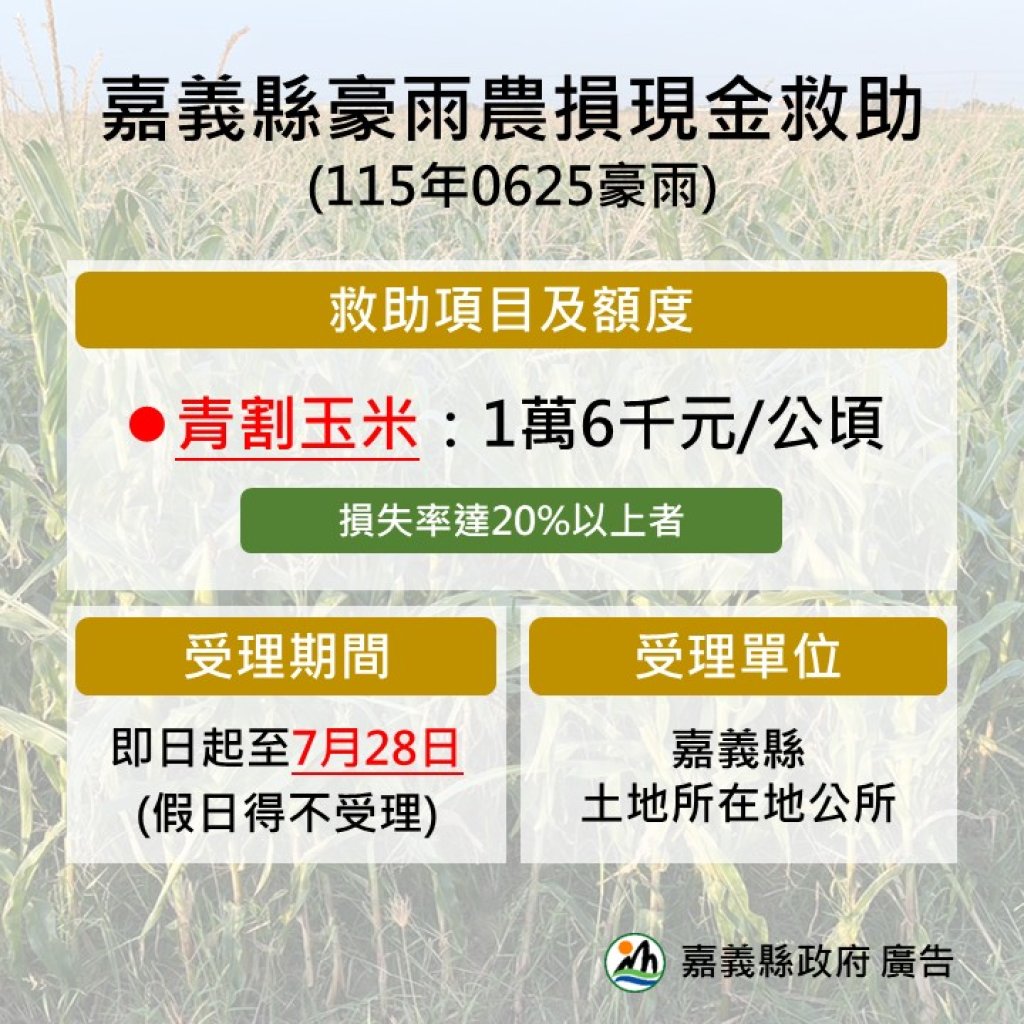 嘉義縣辦理115年0625豪雨青割玉米現金救助