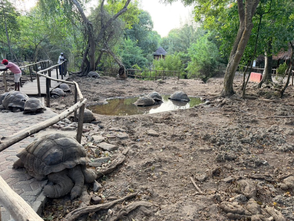 《草地跑道上的熱情巴掌》（甜的）