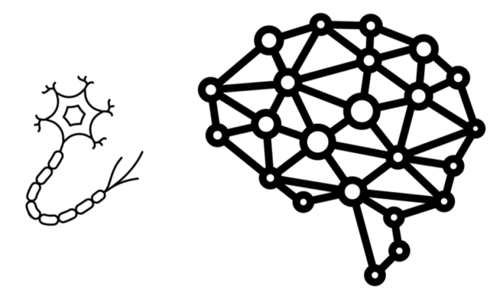睡眠 ~ 腦波檢查 探詢失眠的根源