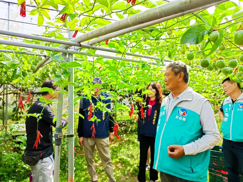 從衛國戎裝到有機農田：邱善章與「火燒庄」的紫色奇蹟