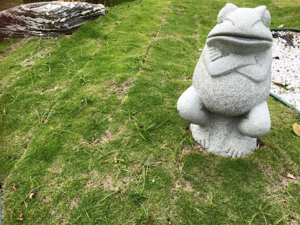 前庭美景人見人讚