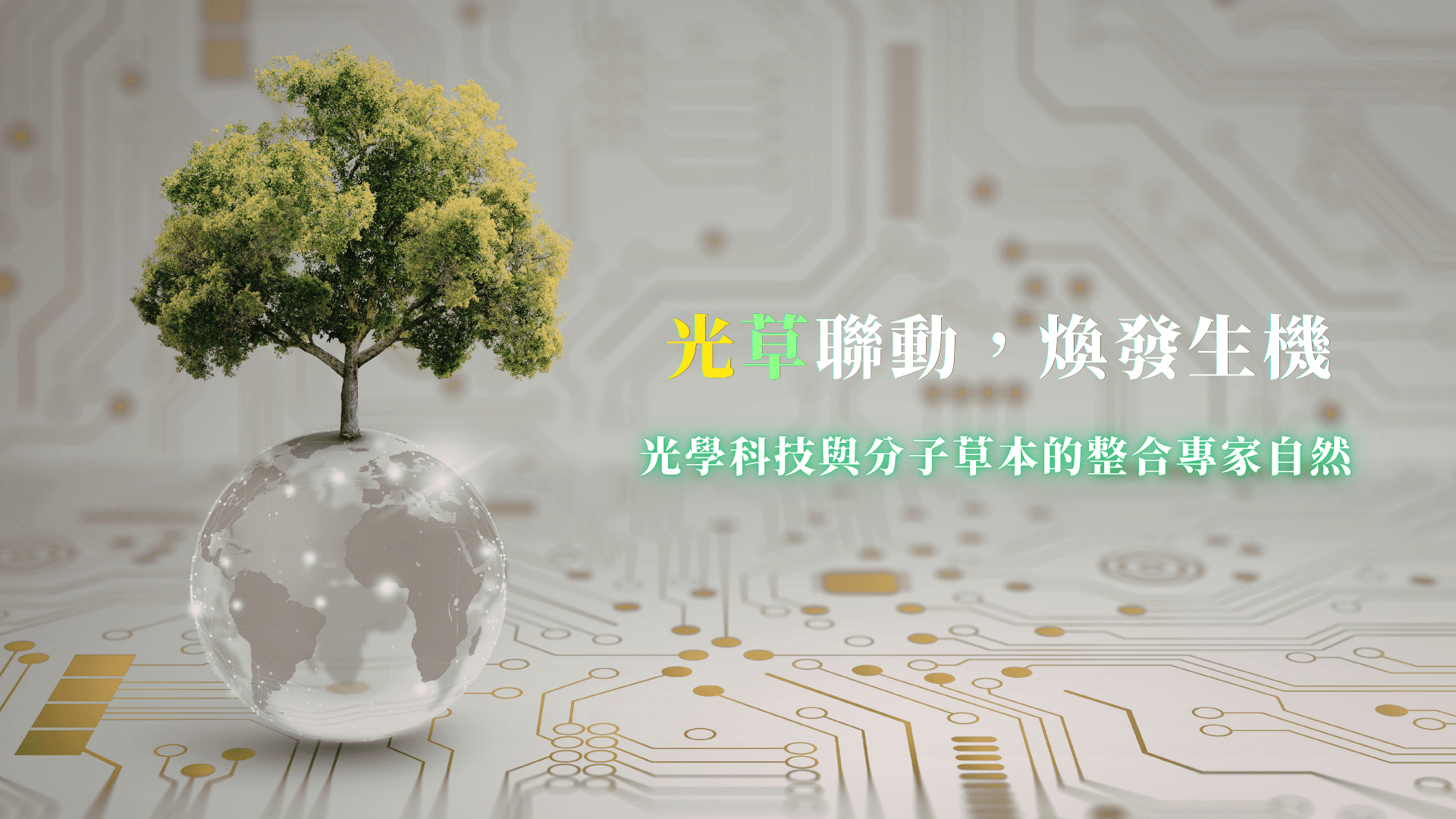 杏心精準健康生物醫學股份有限公司 - 