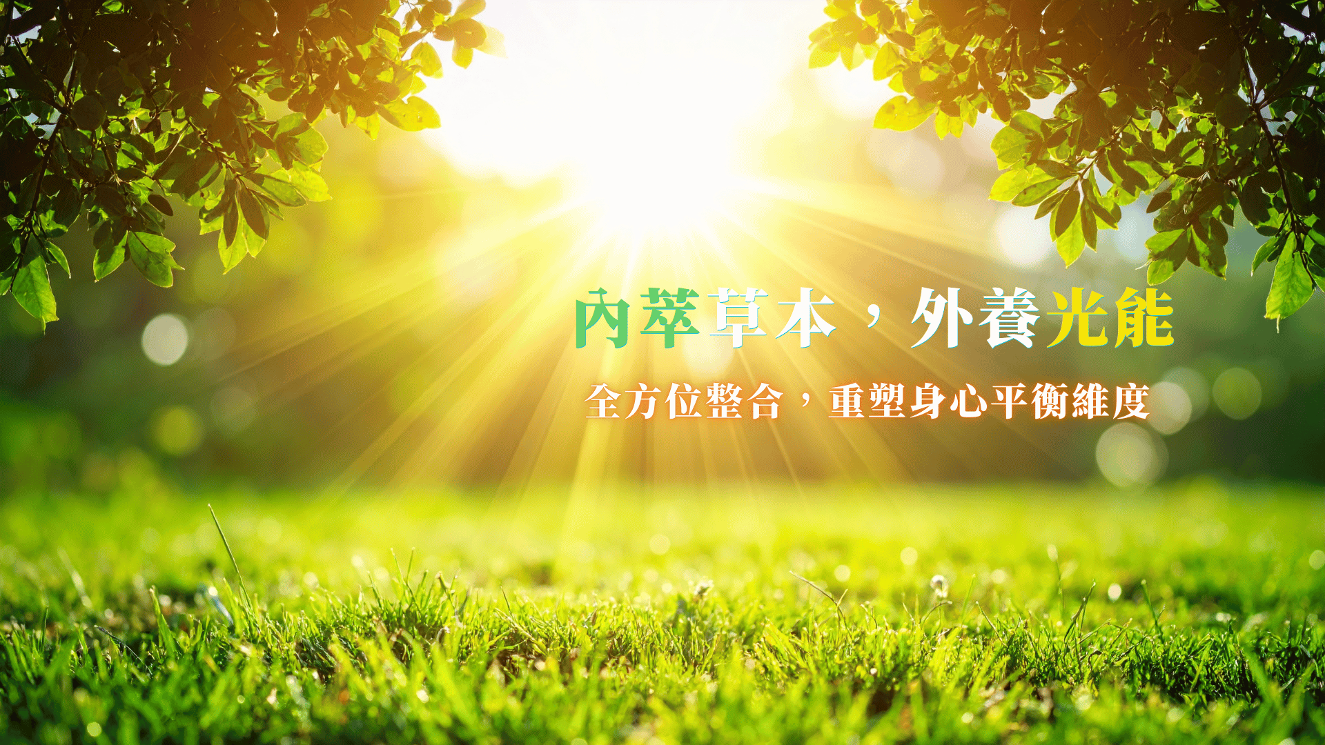 杏心精準健康生物醫學股份有限公司 - 
