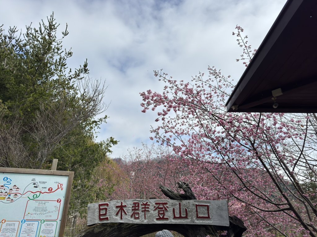 【台灣走透透！老司機帶你玩好食好-水鍟租賃，不只是租車，是你的專屬移動行館！】