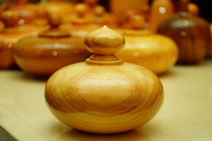 台灣二代黃檜-聚寶盆-高12cm/寬14cm