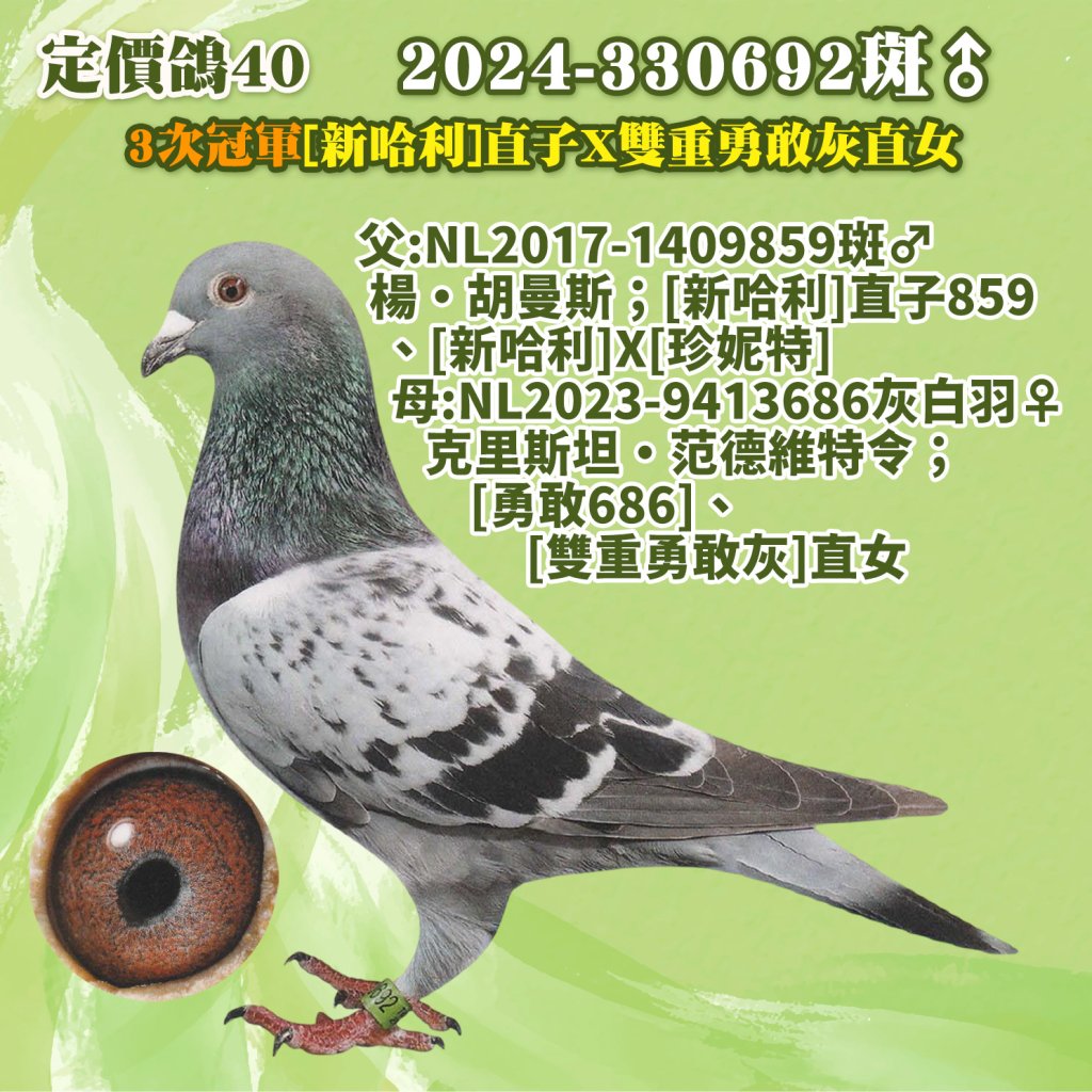2024-330692斑♂
