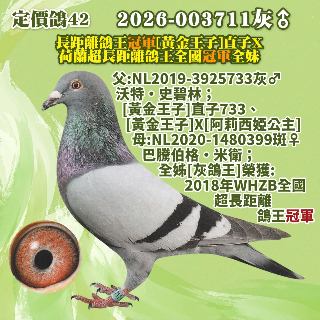 2026-003711灰♂