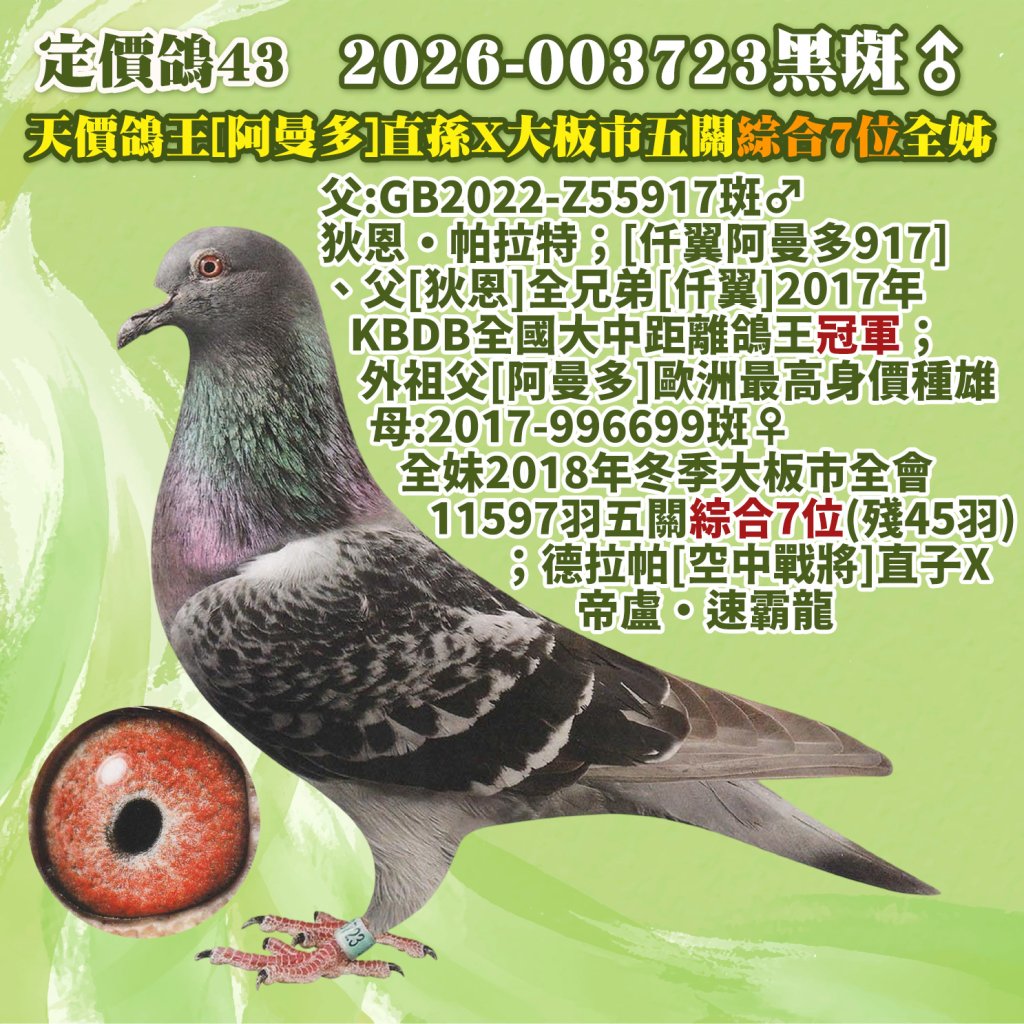 2026-003723黑斑♂
