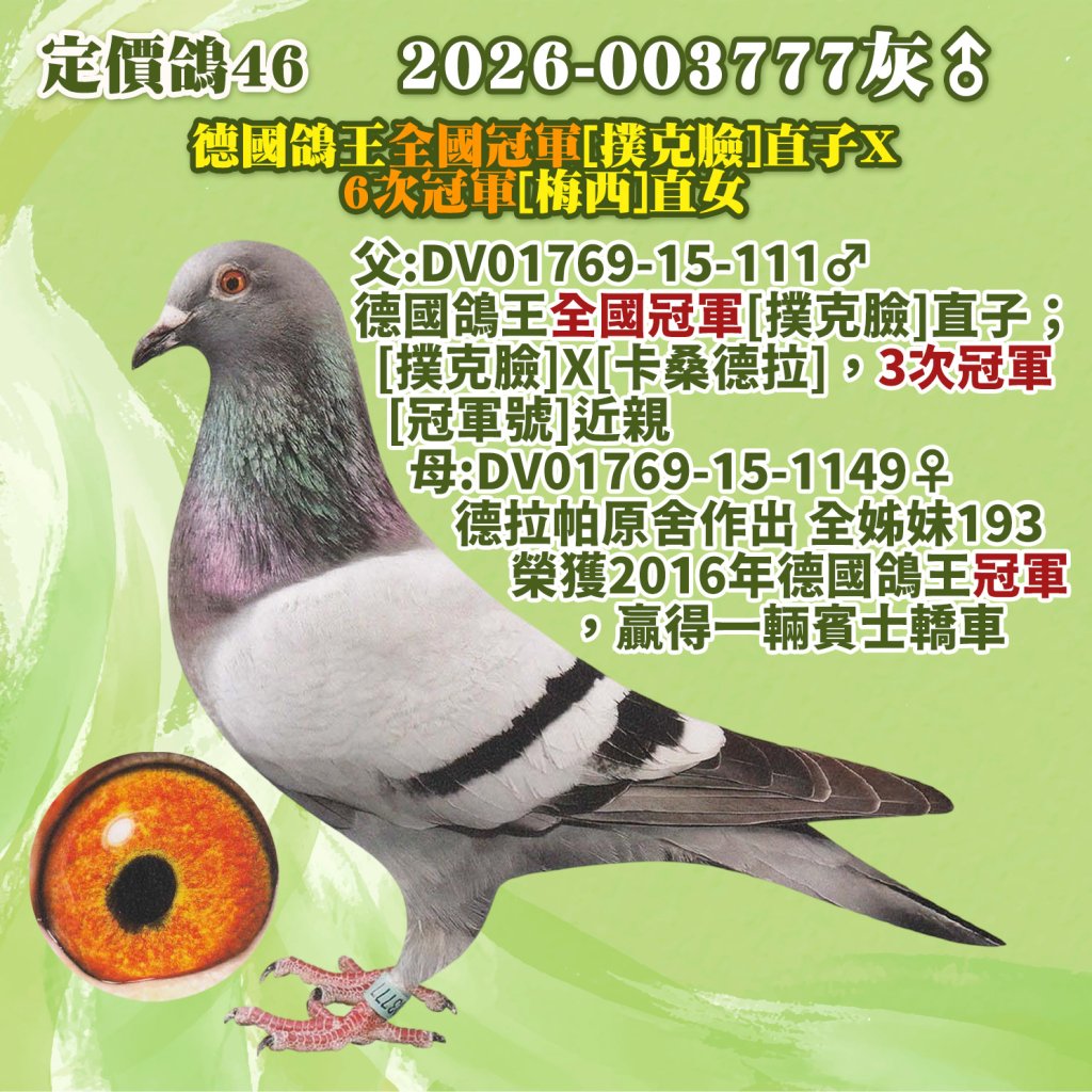 2026-003777灰♂