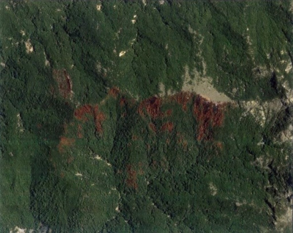 燒12天玉山森林大火　檢警林消跋涉60公里還原現場