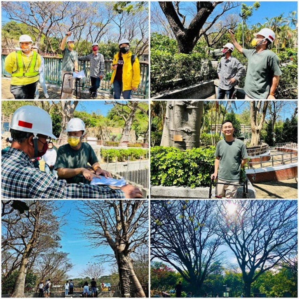 壽山動物園「新動物園運動」與樹共生 邀請森林城市協會專家為園區樹木診察