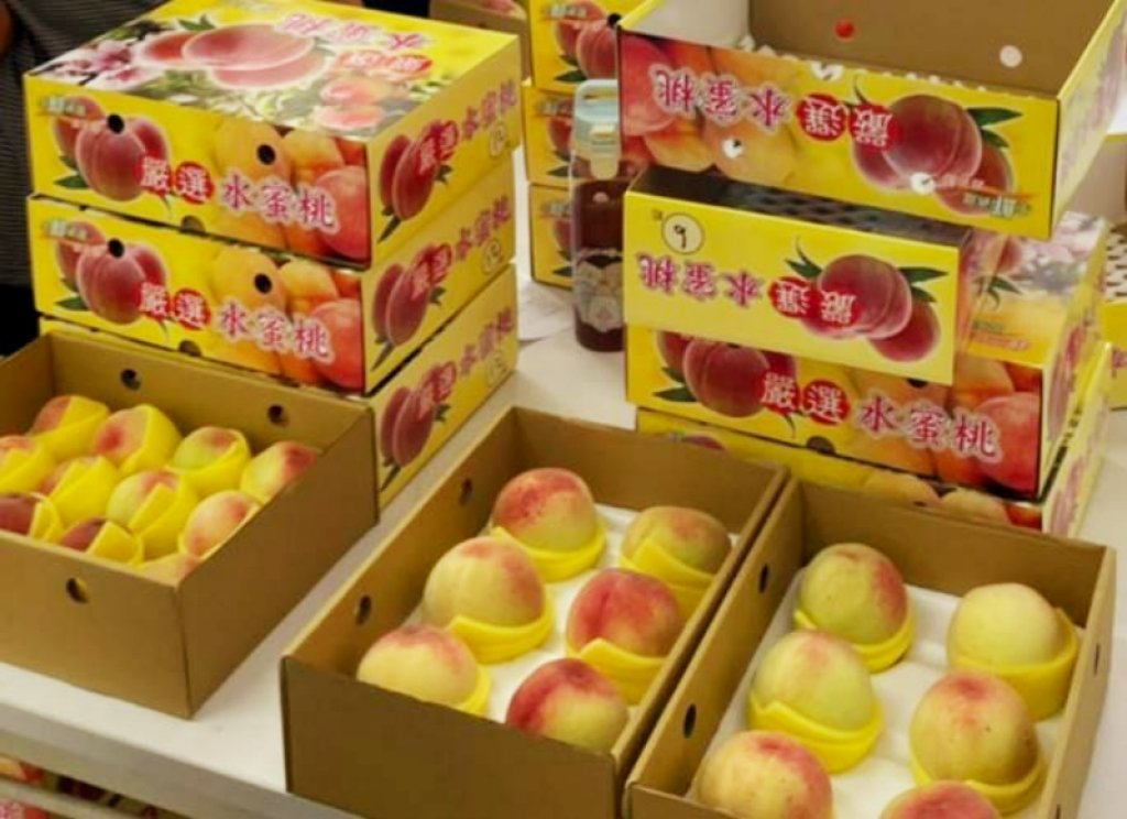 受山區雨勢衝擊農損逾5成　竹縣尖石水蜜桃祭出買10盒送1盒等多項優惠