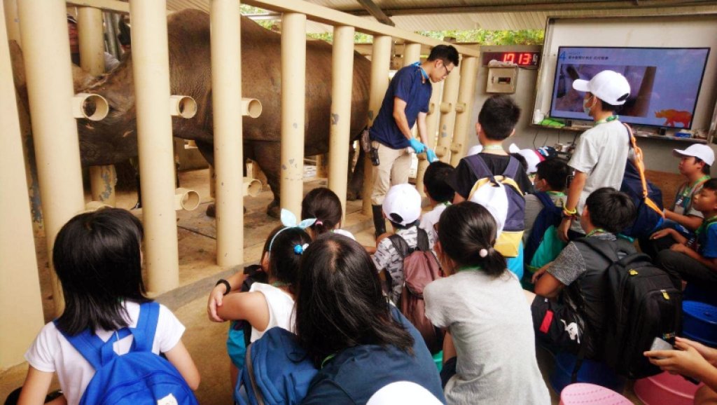 深入動物醫院犀牛繁育中心　六福村推出動物夏令營體驗野生動物日常