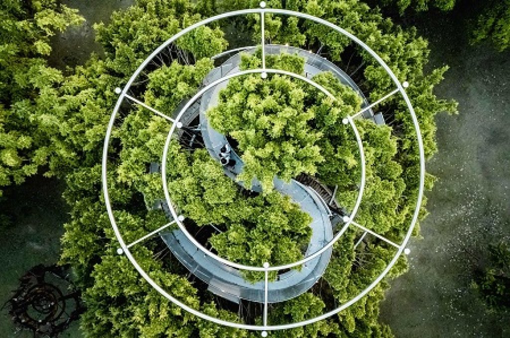 駁二大義公園「大樹宇宙」，設計360度環景作品新體驗
