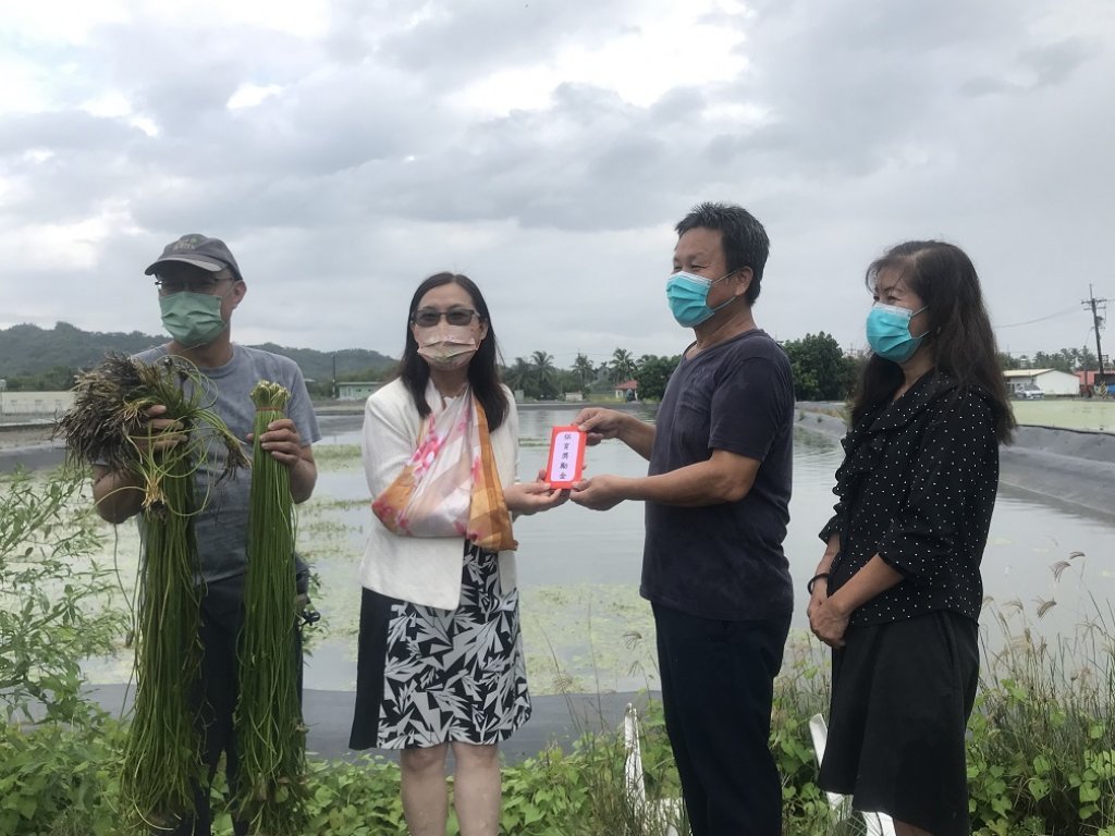  美濃野蓮農李金洲獲獎勵金　當場轉贈予高鳥助水雉復育