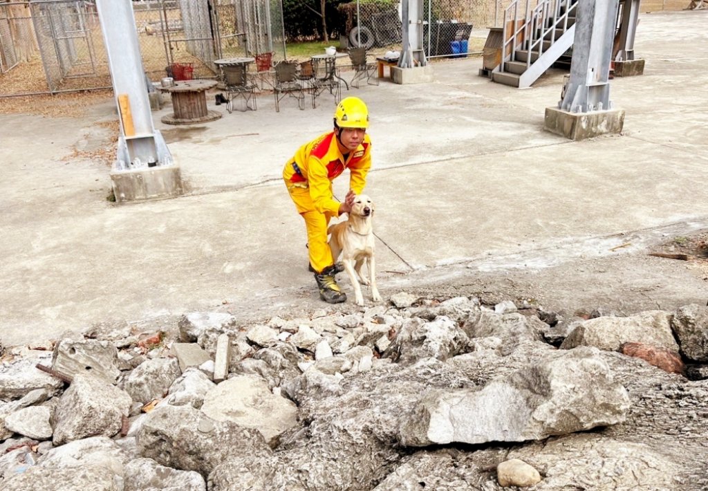 竹市4隻搜救犬通過IRO國際檢測評量認證　提升災害特搜進階能量！